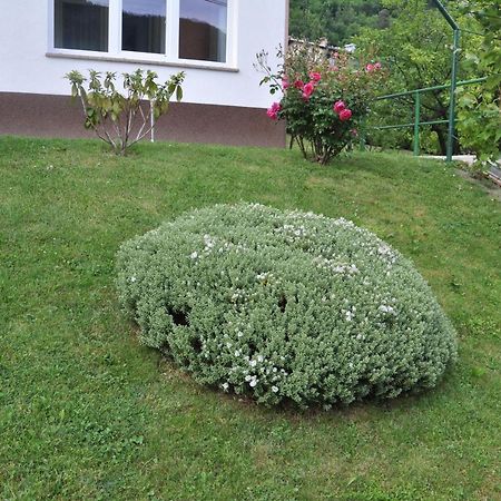 Hotel Rezidenca Ervin Jesenice Exteriér fotografie