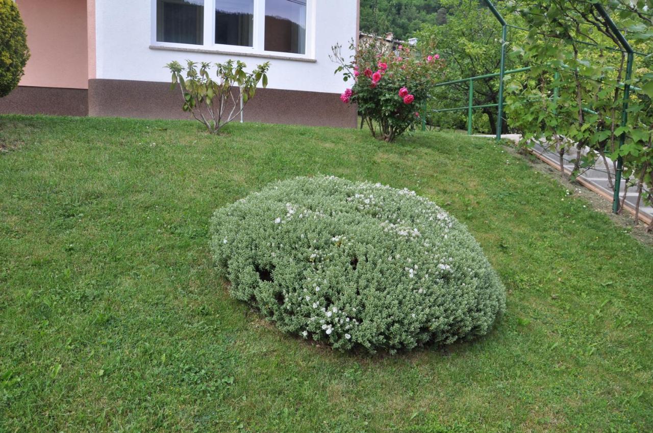 Hotel Rezidenca Ervin Jesenice Exteriér fotografie